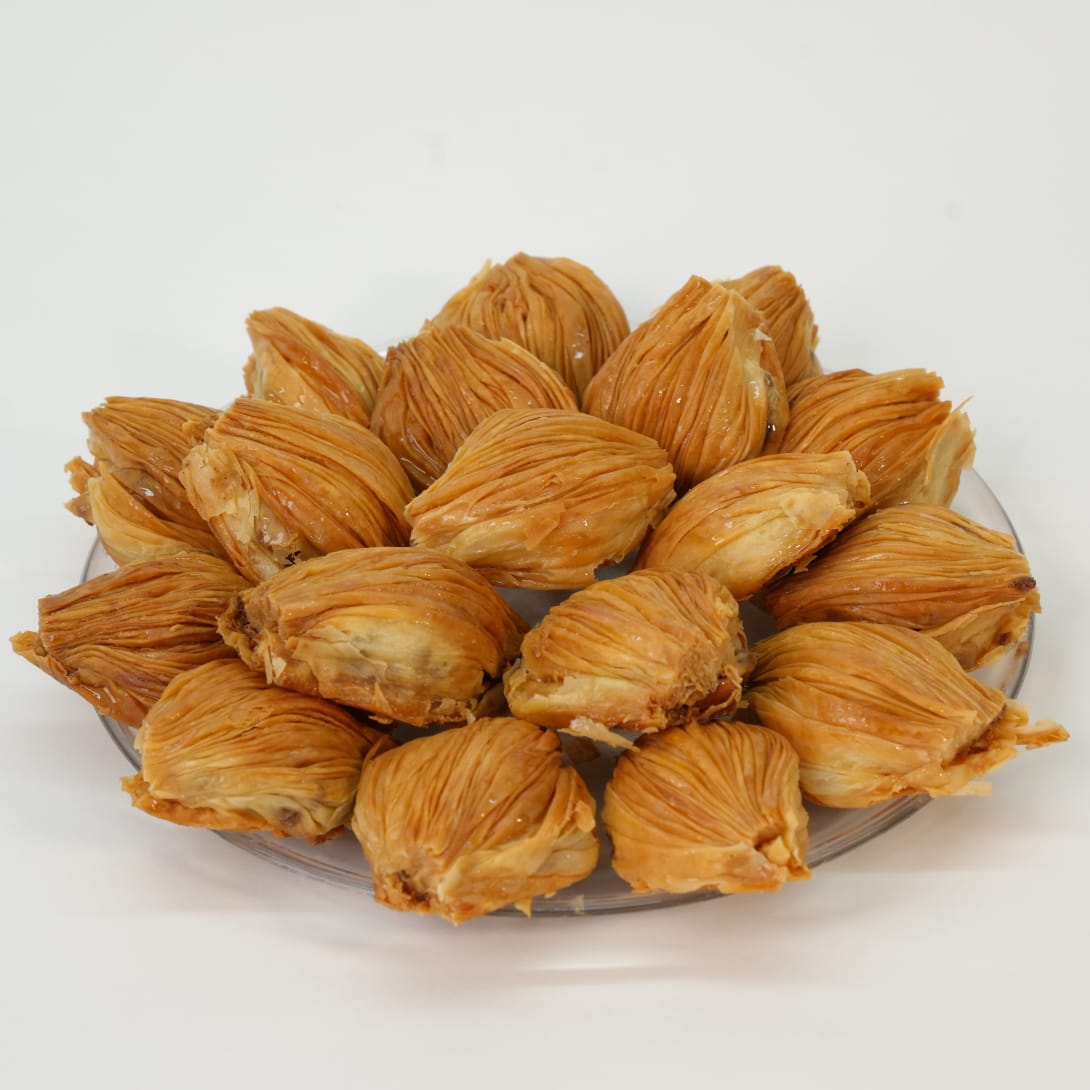 صدفة جوز